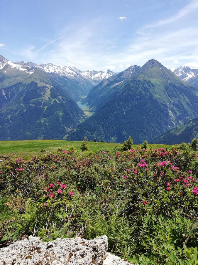 Gaestehaus Tramnitz Mayrhofen Dış mekan fotoğraf