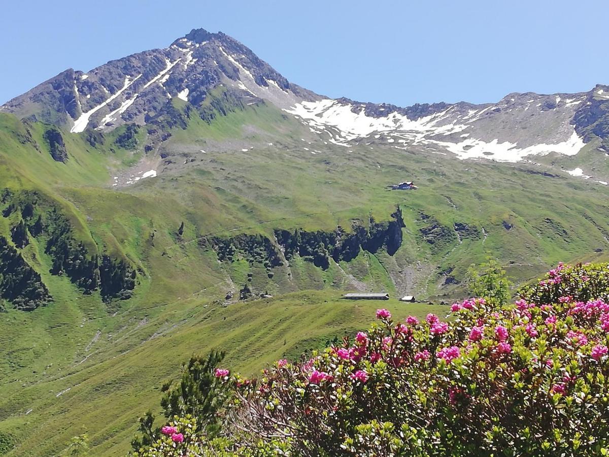 Gaestehaus Tramnitz Mayrhofen Dış mekan fotoğraf