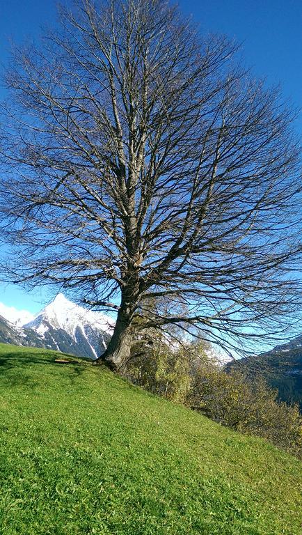 Gaestehaus Tramnitz Mayrhofen Dış mekan fotoğraf